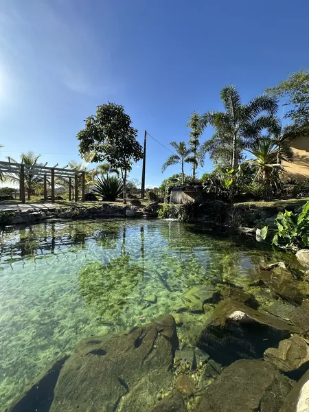 Piscina natural de água corrente com peixes